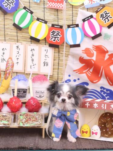 20240703マイアちゃん